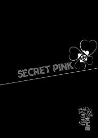 SECRET PINK #40