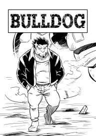 Bull Dog #2