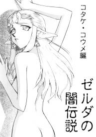 NISE Zelda no Densetsu Shinshou #6
