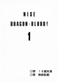 Nise Dragon Blood! 01 #2