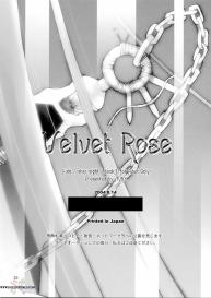 Velvet Rose #29