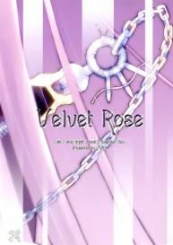 Velvet Rose #31