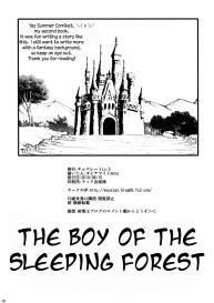 Nemureru Mori no Otoko no Ko | The Boy of the Sleeping Forest #17