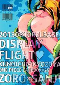 Display Flight #17