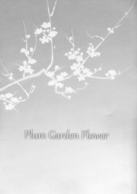 Plum Garden Flower #3