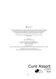 Cure Assort #46