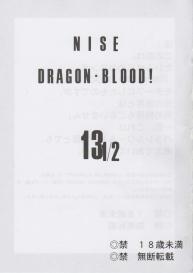 Hajime Taira – Dragon Blood 13.5 #2