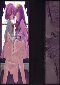 A Book Where Patchouli and Satori Look Down On You With Disgust #1