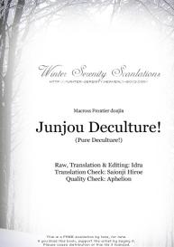 Junjou Deculture! #34