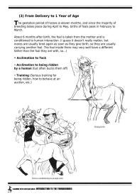 Learning With Centaur Girls: Introduction To The Thoroughbred #10