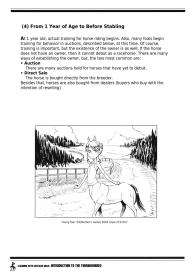 Learning With Centaur Girls: Introduction To The Thoroughbred #12