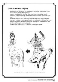 Learning With Centaur Girls: Introduction To The Thoroughbred #15