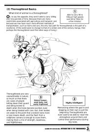 Learning With Centaur Girls: Introduction To The Thoroughbred #5