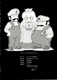 Super Mario Collection #98