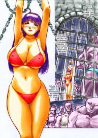 Revo no Shinkan wa Makka na Bikini. | My New Revolution Book is a Bright Red Bikini #11
