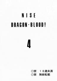 Nise Dragon Blood! 04 #2