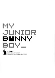 My Junior Bunny Boy #4