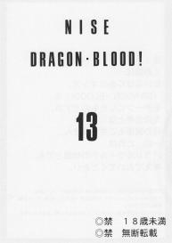 Nise Dragon Blood 13 #2