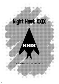 Night Hawk XXIX #2