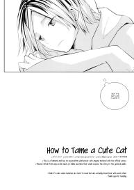 Kawaii Neko no Tenazukekata | How to Tame a Cute Cat #11