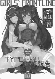 TYPE95&97 Maintenance Report #2