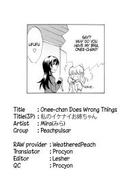 Watashi no Ikenai Oneechan Does Wrong Things #17