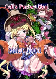 Sailor Moon V #1
