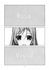 RV – Rosa Viva #3