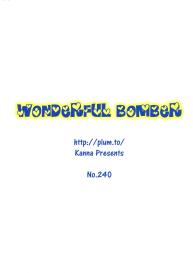 Wonderful Bomber #2