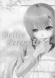 Bellis Perennis #2