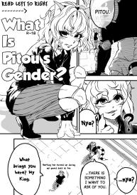 What is Pitou’s Gender? #1