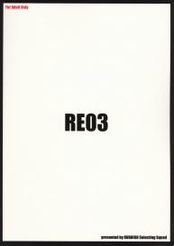 RE 03 #41