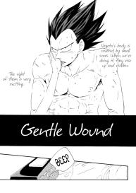 Gentle Wound #3