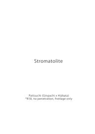 Stromatolite #2