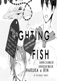 Fighting Fish #9