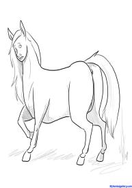 Year Of The Horse #6