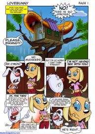 Love Bunny #3