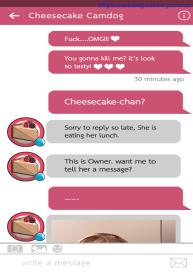 Message To Cheesecake #9