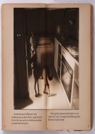 Reveries Of A Centaur #12