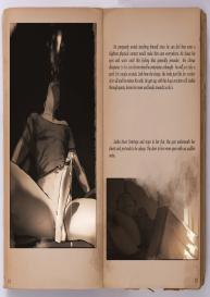 Reveries Of A Centaur #17