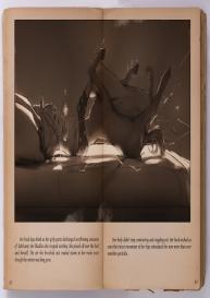 Reveries Of A Centaur #23