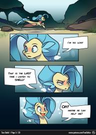 Seashells #3
