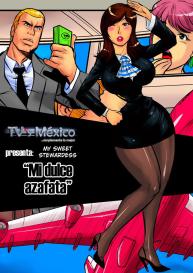 My Sweet Stewardess #1
