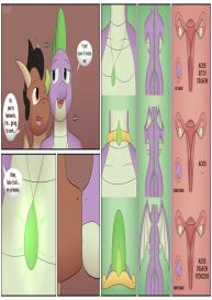 The New Dragon Princess #10