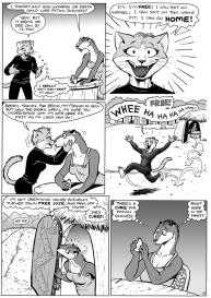 Cat Burglar #15