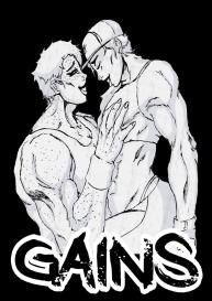 Gains #2