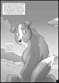 Down Of The Farm #14