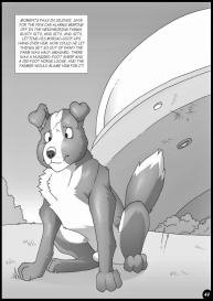 Down Of The Farm #49