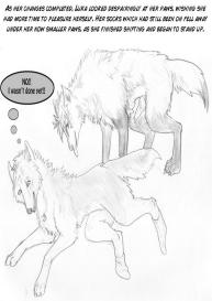 The New Pack #19