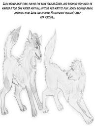 The New Pack #21